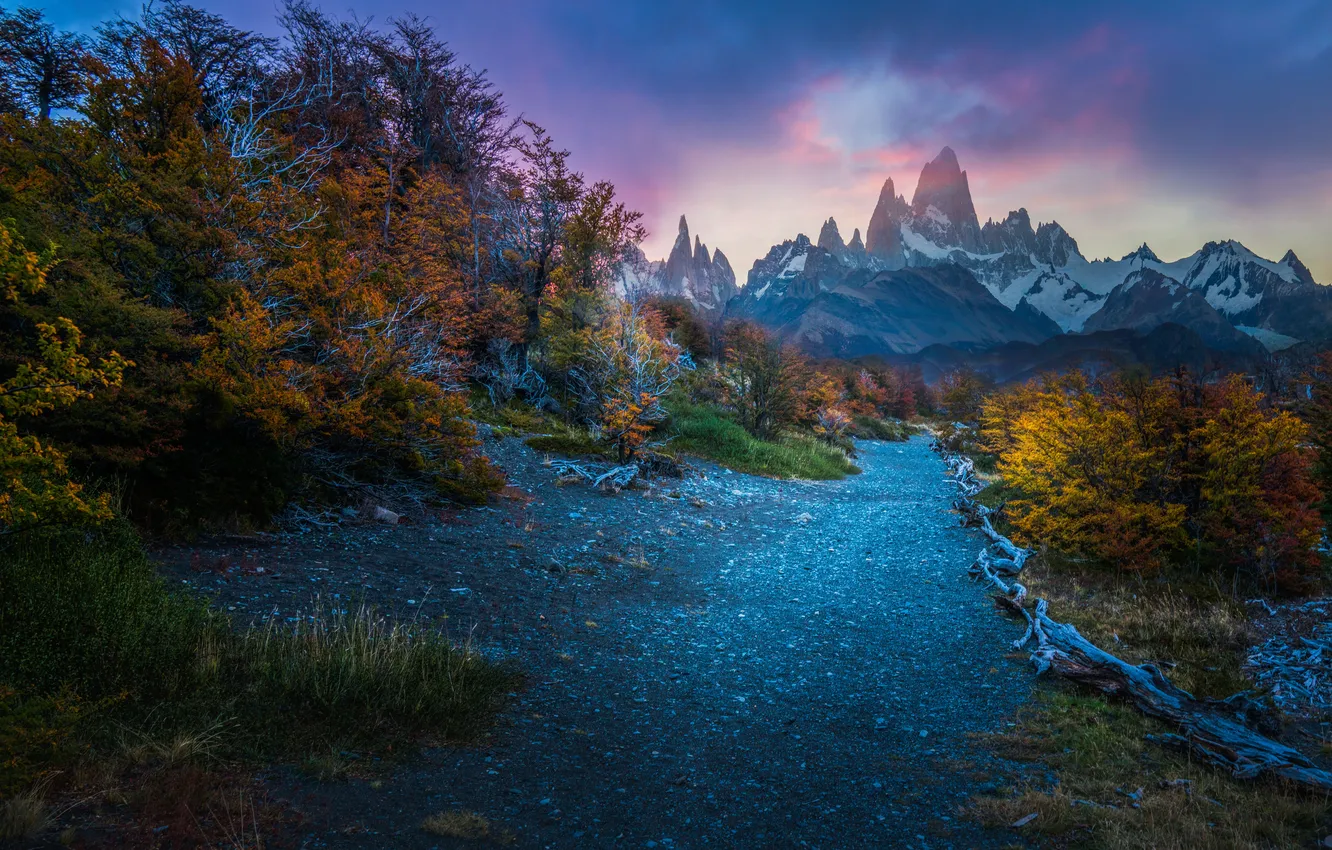 Photo wallpaper road, trees, mountains, horizon, Patagonia, Konstantin Fedorov, Picturesque Landscape