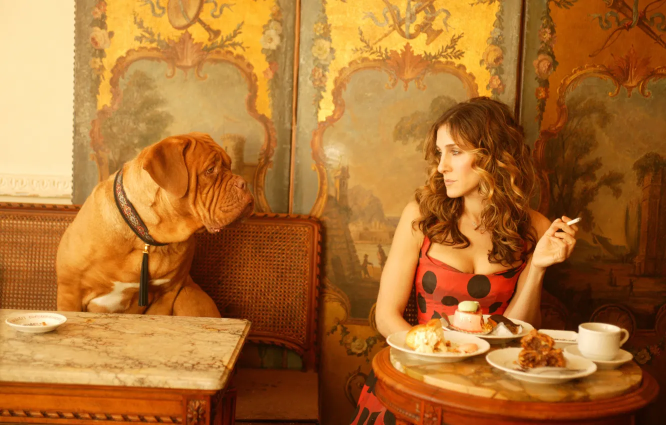 Photo wallpaper girl, the film, dog, cafe