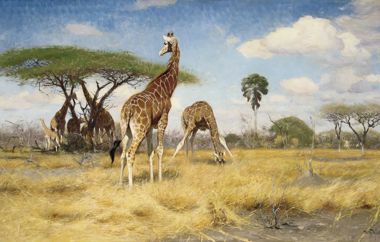 Photo wallpaper Giraffes, Giraffes, German painter, Friedrich Wilhelm Kunert, German painter, Friedrich Wilhelm Kuhnert