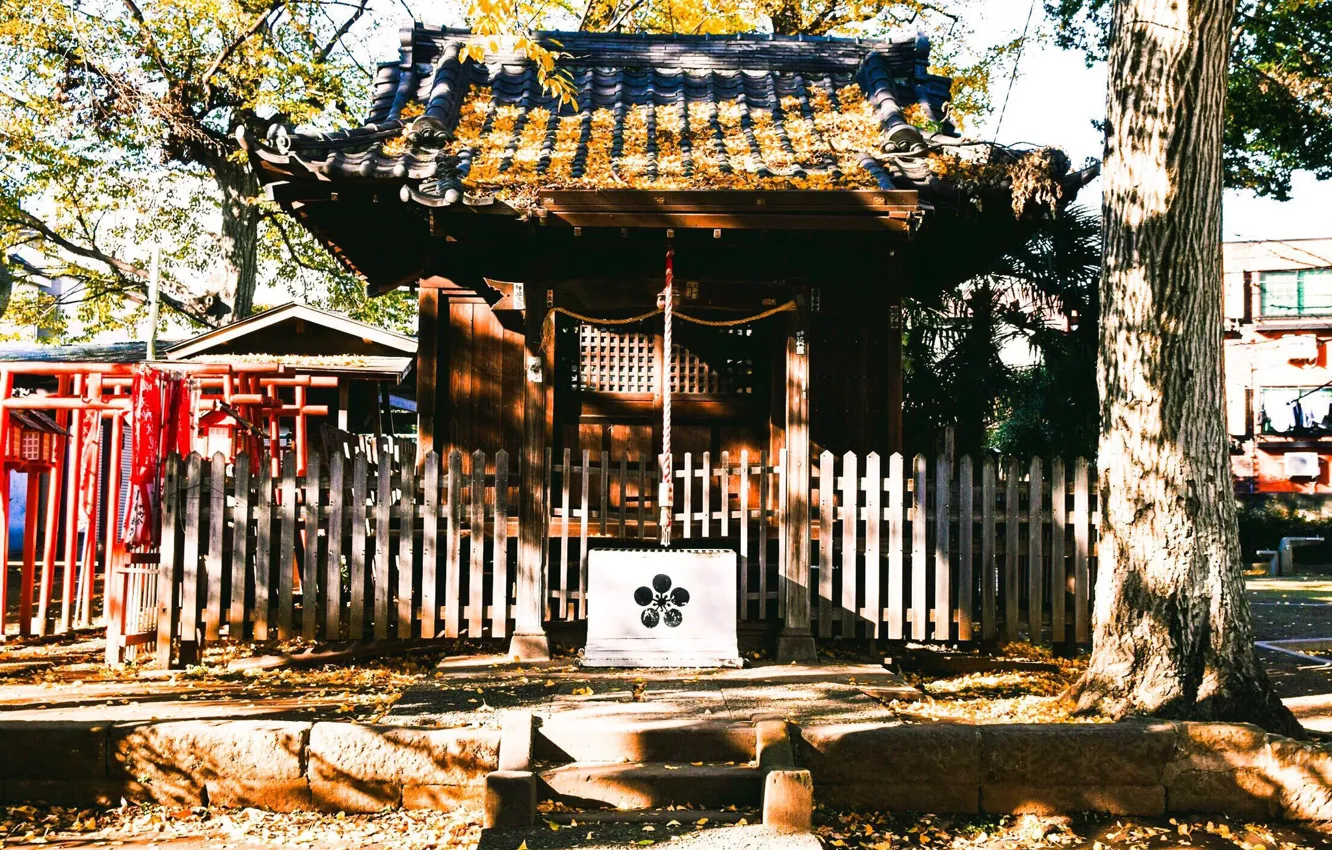 Photo wallpaper Japan, temple, Japan, Sunny day, torii gate