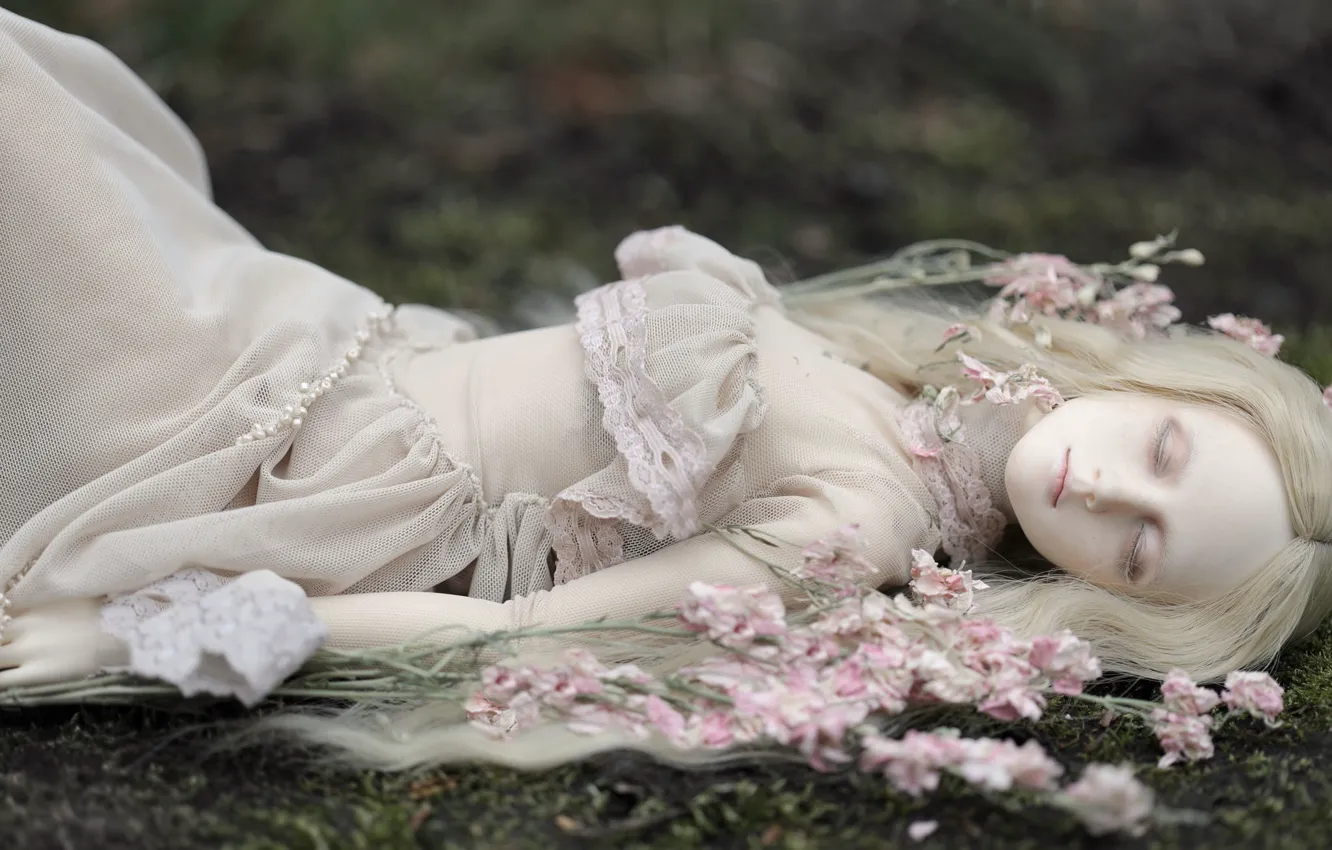 Photo wallpaper girl, style, hair, toy, doll