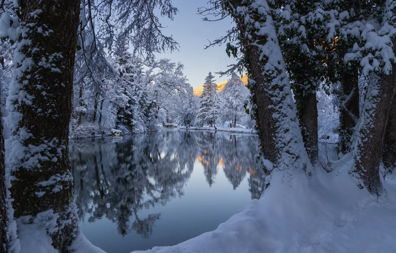 Photo wallpaper winter, frost, forest, snow, trees, nature, lake, reflection