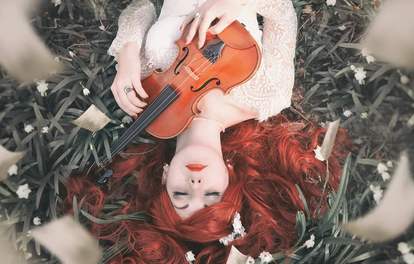 Photo wallpaper girl, violin, Miss Froggi