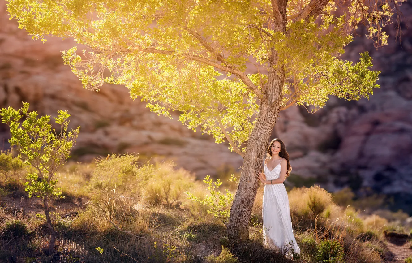 Photo wallpaper girl, light, nature, tree