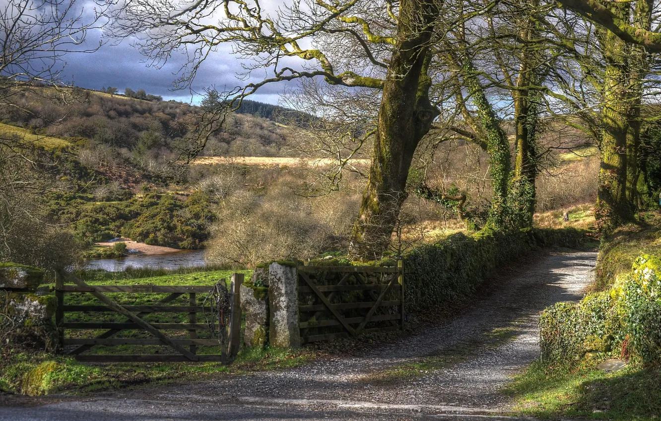Photo wallpaper trees, the fence, track