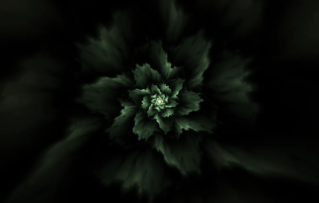 Photo wallpaper abstraction, plant, fractal, abstraction, plant, fractal