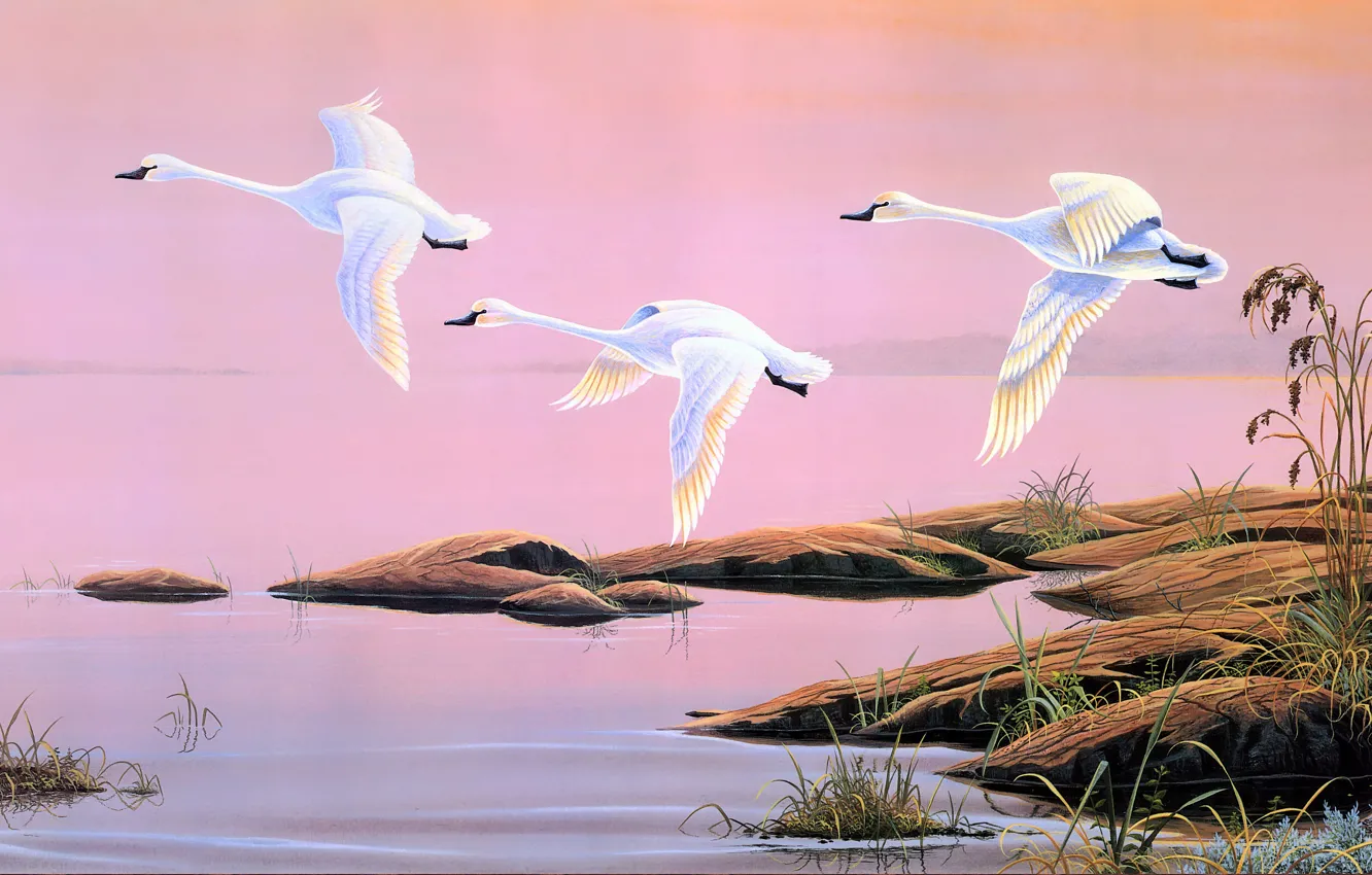 Photo wallpaper the sky, flight, nature, stones, dawn, figure, wings, picture