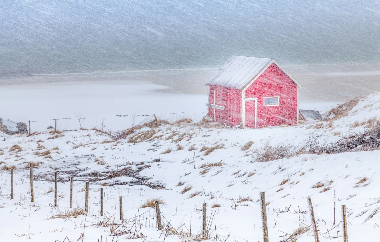 Photo wallpaper winter, snow, home