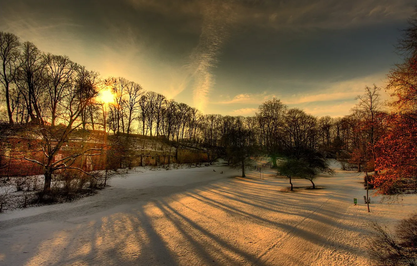 Photo wallpaper winter, the sun, rays, snow, trees, Park