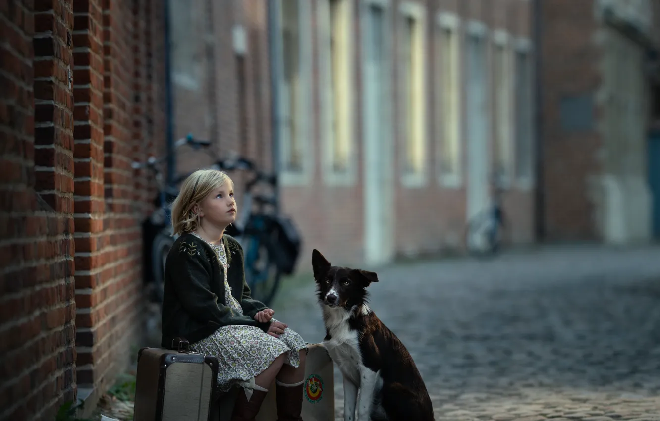 Photo wallpaper dog, girl, suitcase