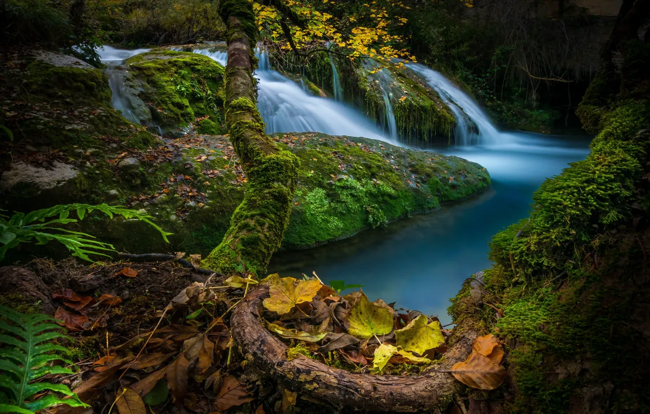 Photo wallpaper autumn, trees, river, waterfall, moss, Spain, cascade, fallen leaves