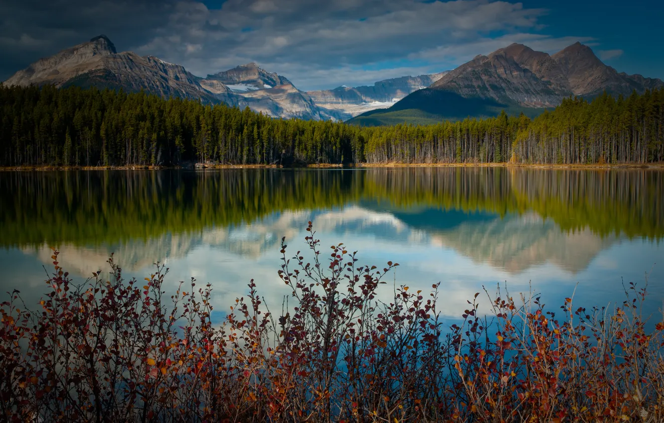 Photo wallpaper forest, mountains, lake, reflection, Canada, the bushes