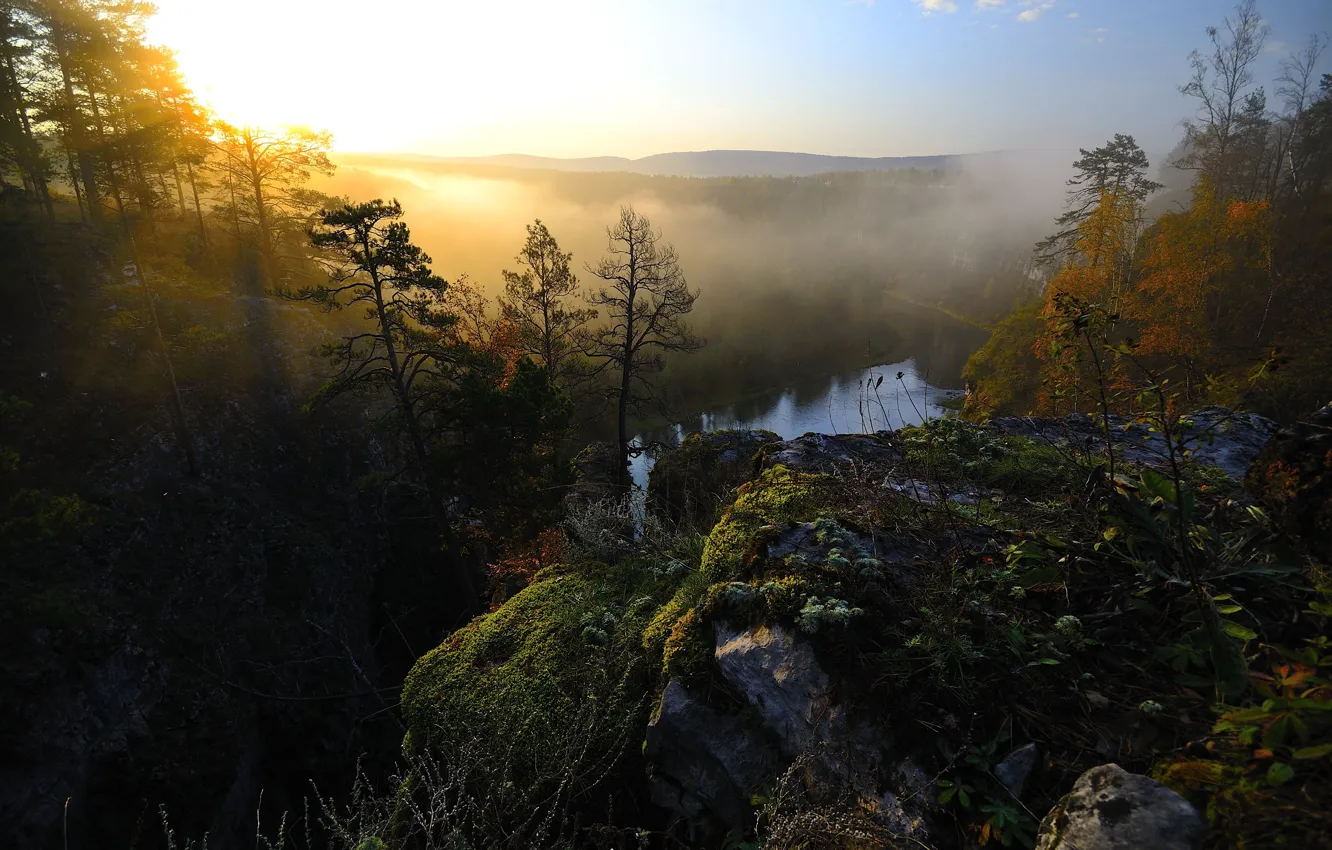 Photo wallpaper forest, rays, light, fog, open, rocks, dawn, moss