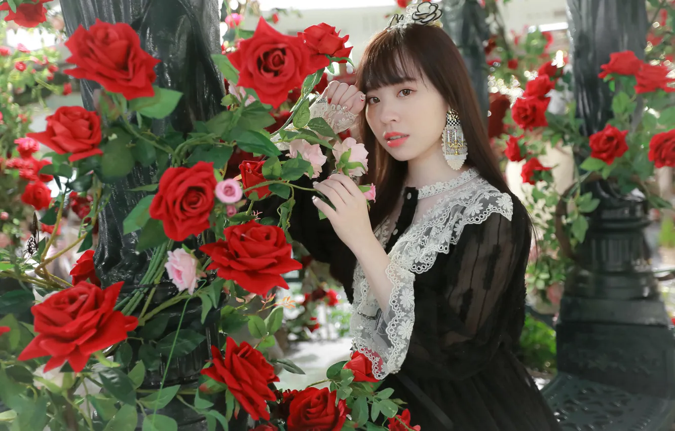 Photo wallpaper look, roses, Asian