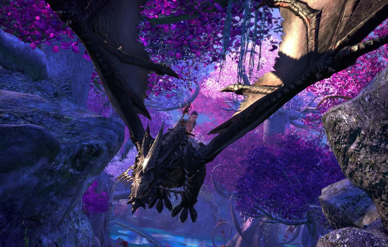 Photo wallpaper girl, flowers, background, dragon, the game, tera