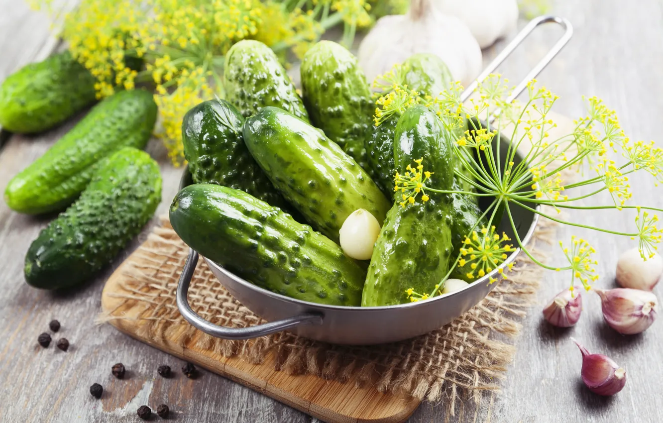 Photo wallpaper food, dill, cucumbers, garlic