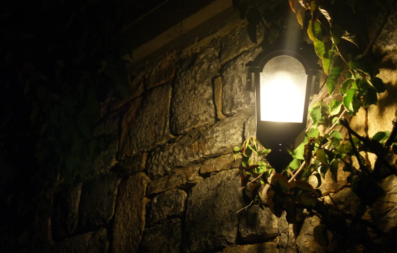 Photo wallpaper light, night, the fence, lantern