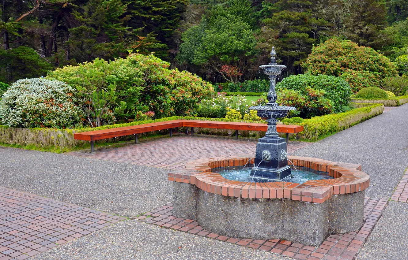 Photo wallpaper greens, trees, flowers, Park, shop, track, fountain, the bushes