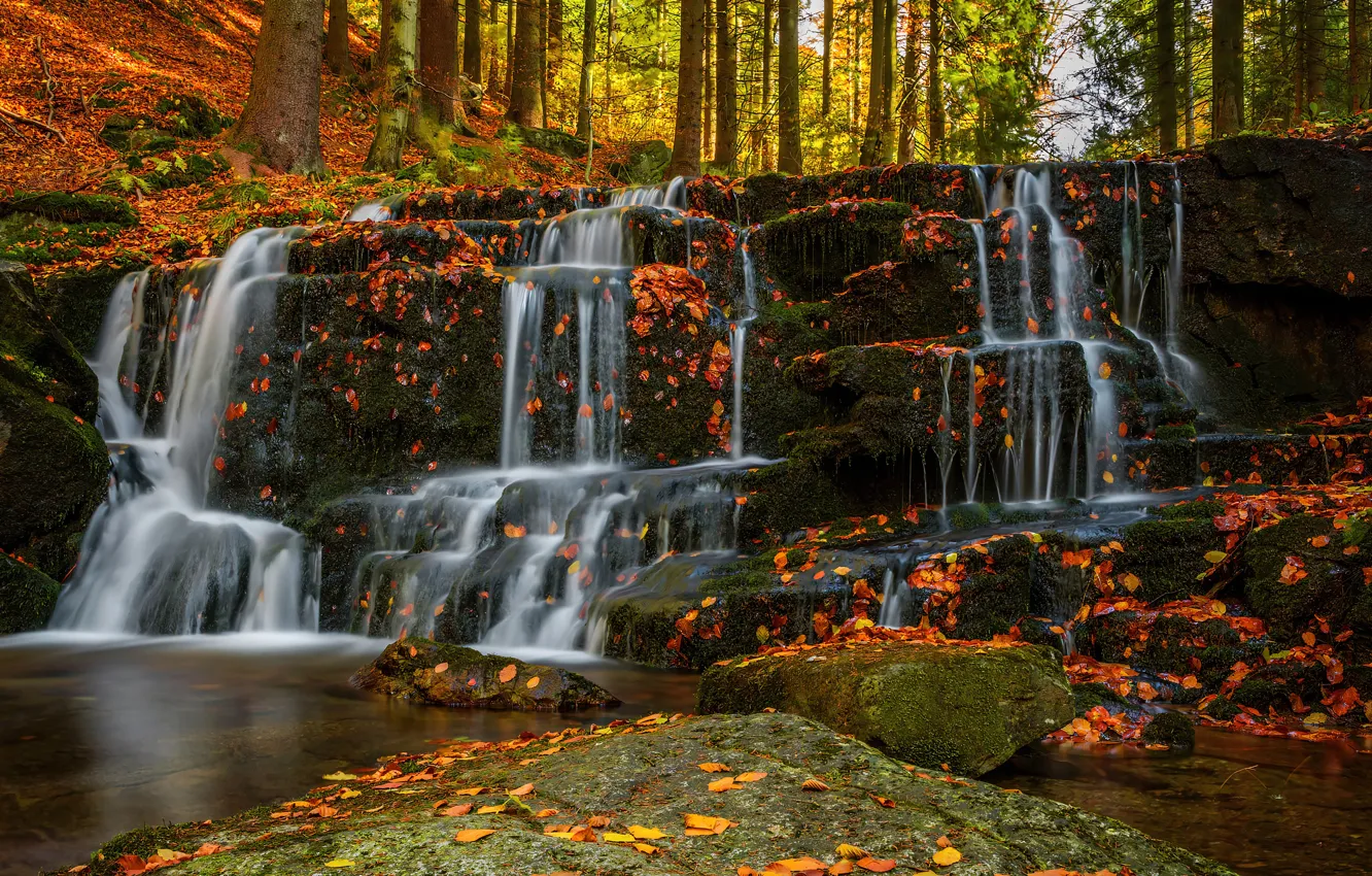Photo wallpaper autumn, forest, foliage, waterfall