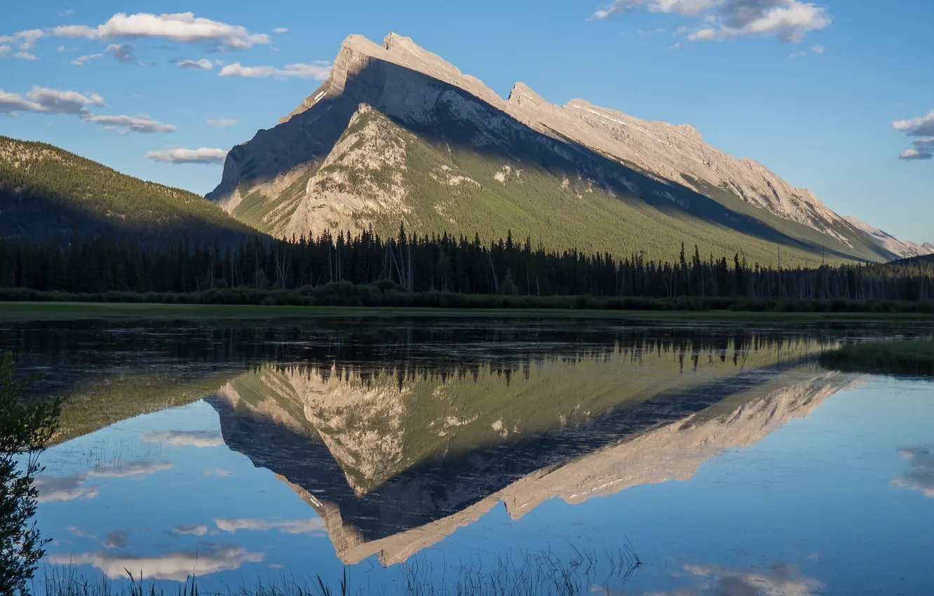 Photo wallpaper forest, the sky, clouds, light, landscape, mountains, nature, lake