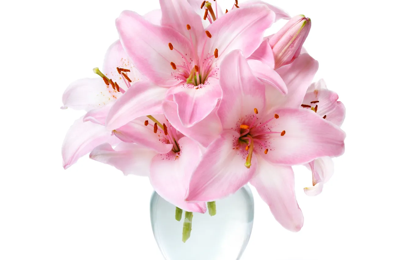 Photo wallpaper Lily, bouquet, petals, vase