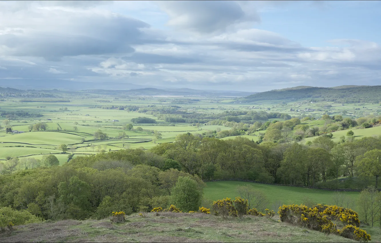 Photo wallpaper field, clouds, trees, hills