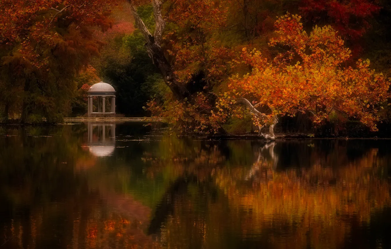 Photo wallpaper autumn, trees, landscape, nature, pond, Park, gazebo