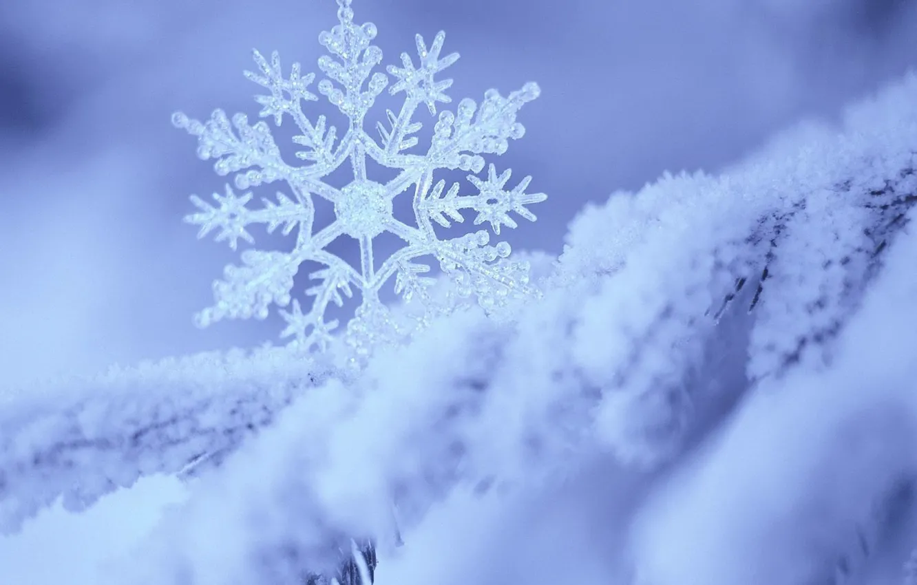 Photo wallpaper snow, white, blue, snowflake
