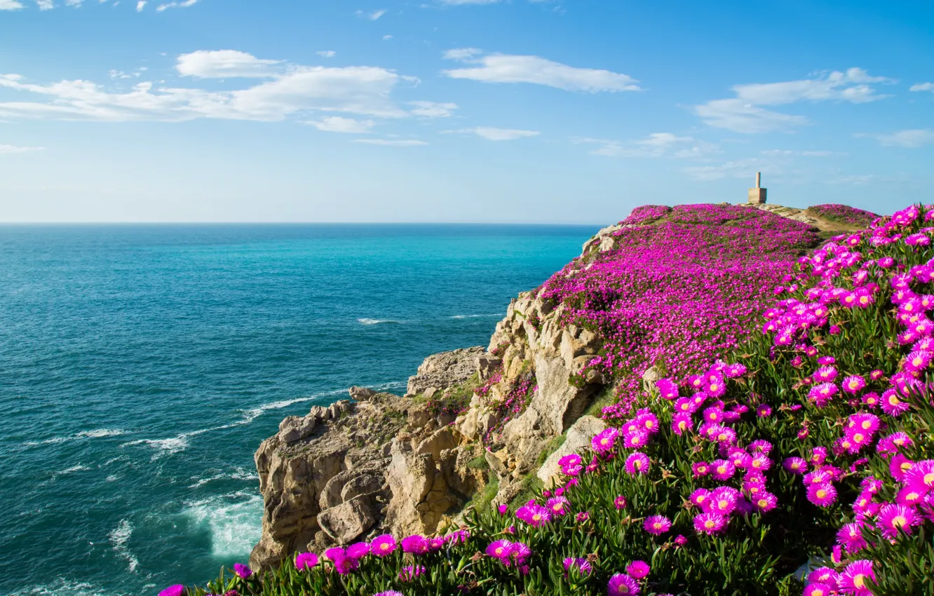 Photo wallpaper flowers, the ocean, rocks, coast, Bay, Spain, Spain, The Bay of Biscay