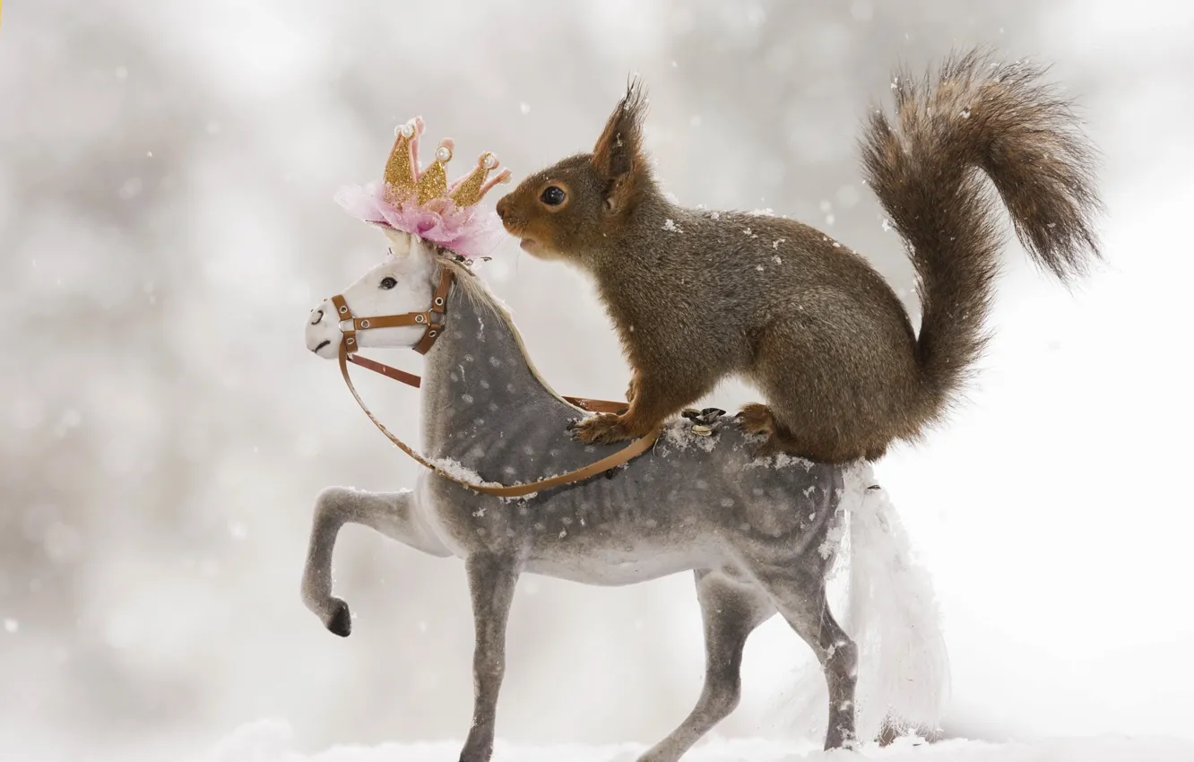 Photo wallpaper winter, snow, animal, toy, protein, animal, rodent, horse