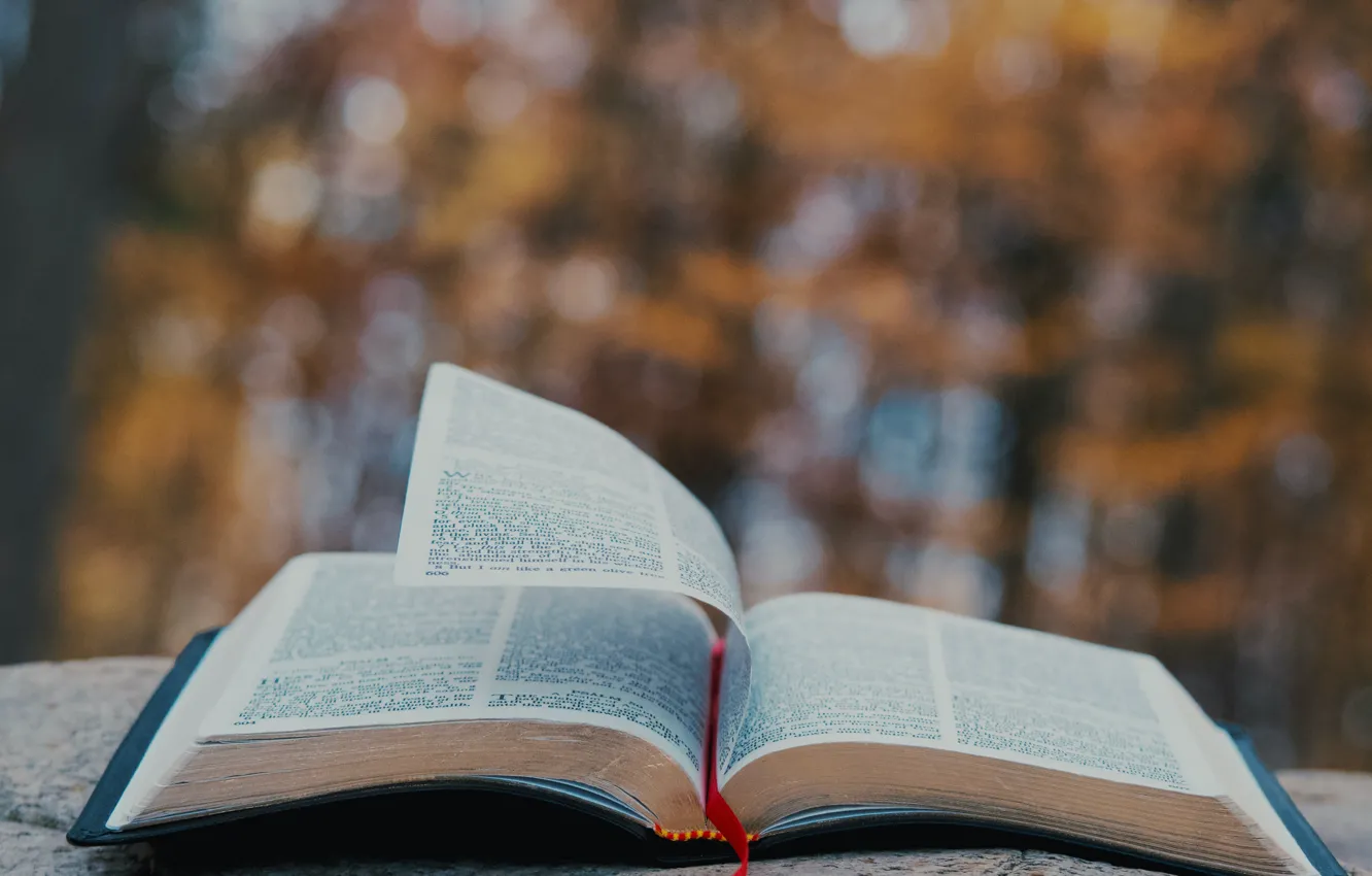 Photo wallpaper Christian, God, Bible, Jesus, Aaron Burden, Holy Bible