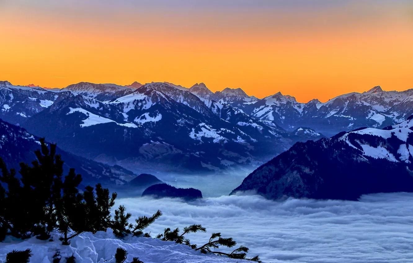 Photo wallpaper snow, sunset, mountains, Switzerland, Switzerland, Bernese Alps, The Bernese Alps