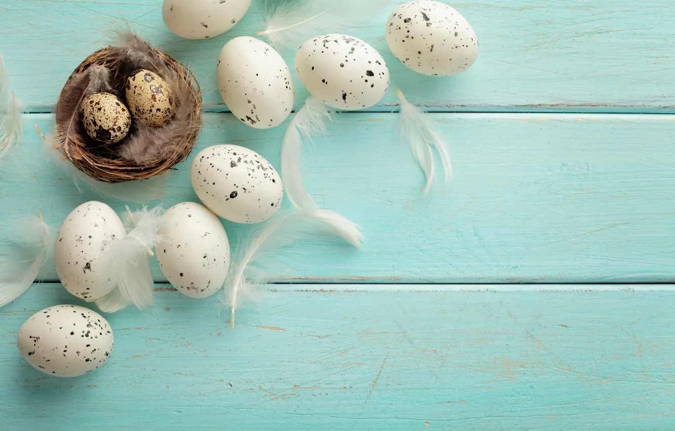 Photo wallpaper eggs, feathers, Easter, socket, tape, happy, wood, spring