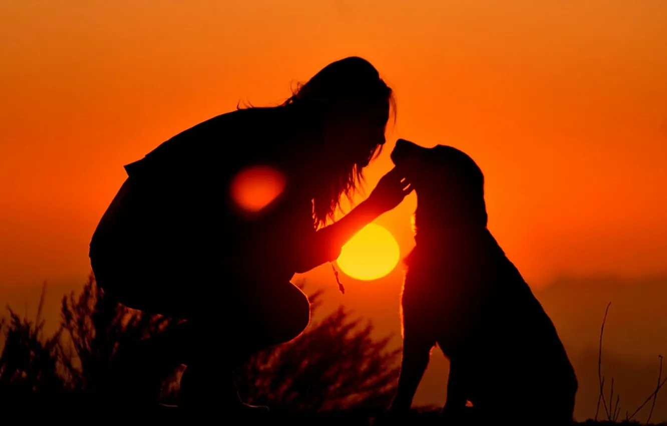 Photo wallpaper the sky, girl, the sun, sunset, dog, silhouette