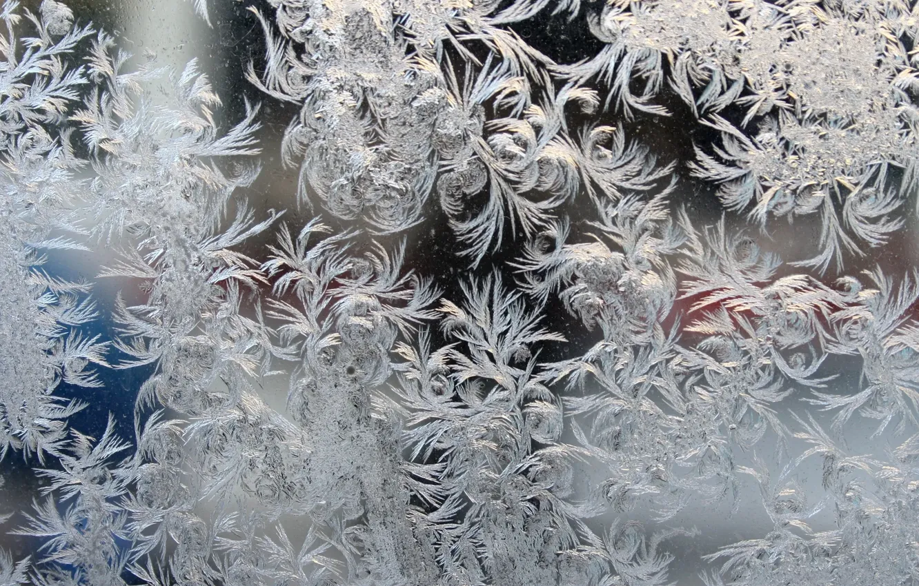 Photo wallpaper winter, frost, macro, frost, frost, Patterns on the window