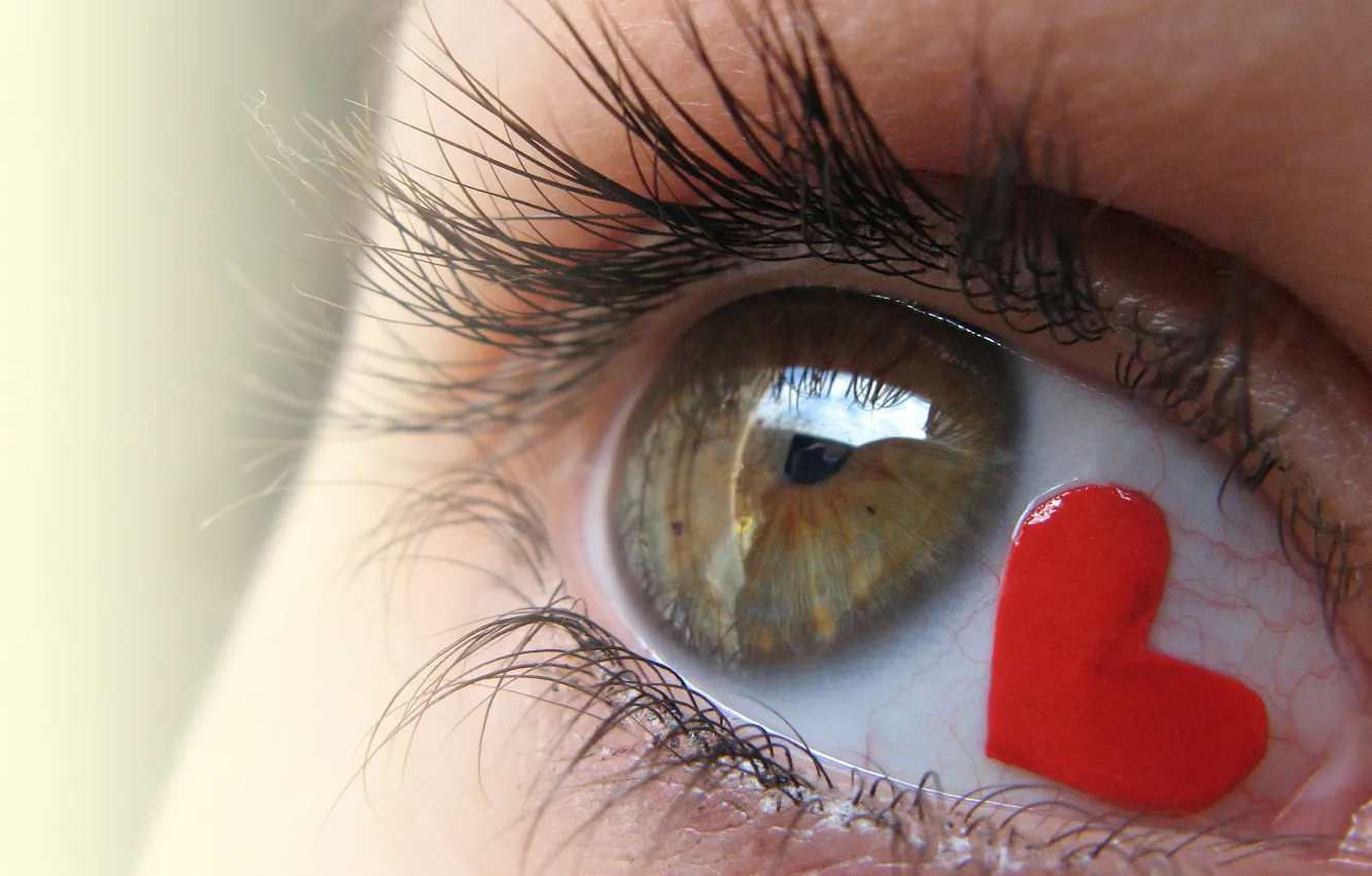 Photo wallpaper look, love, heart