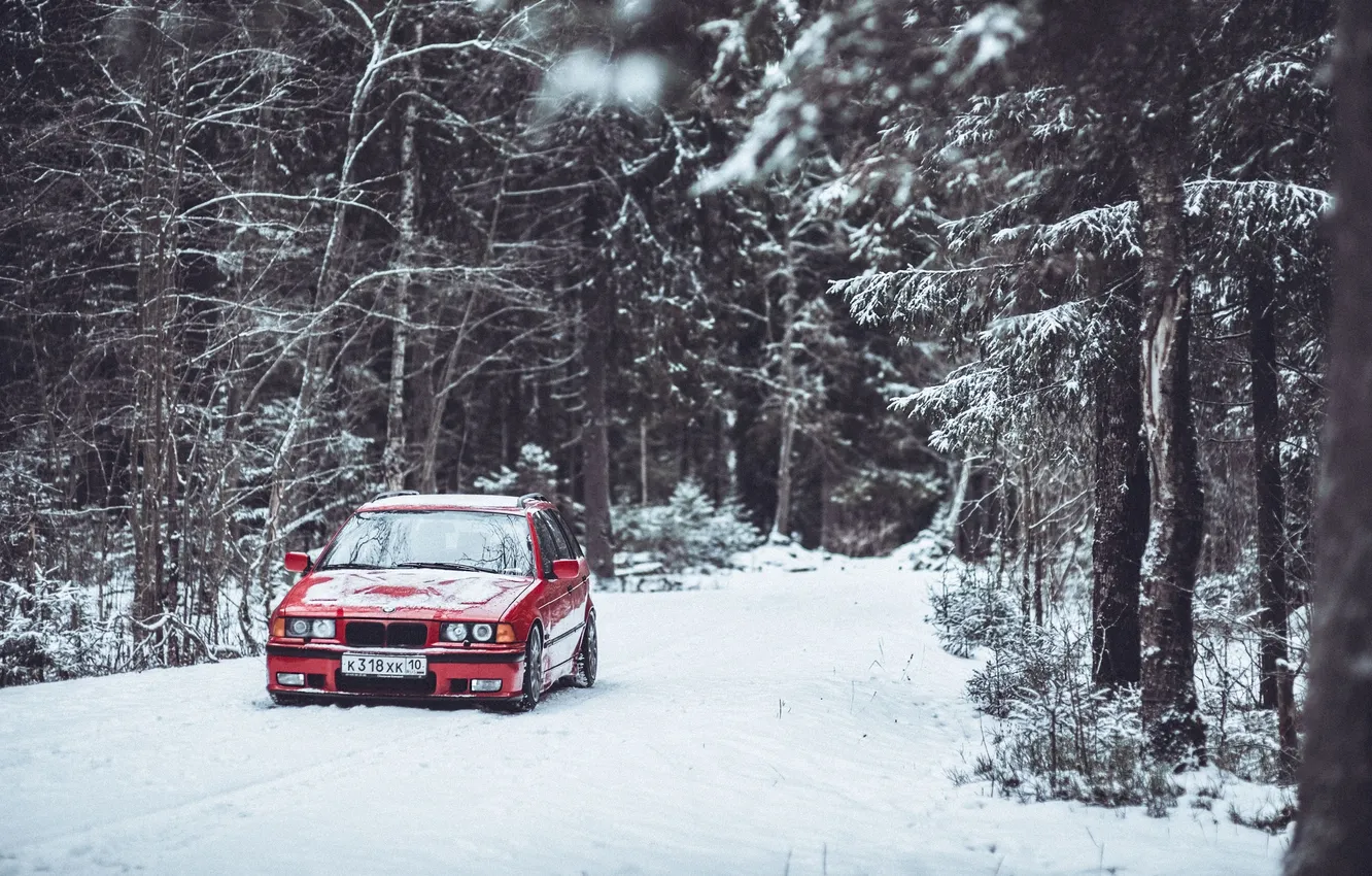 Photo wallpaper winter, road, forest, trees, BMW, bbs, 3 Series, E36