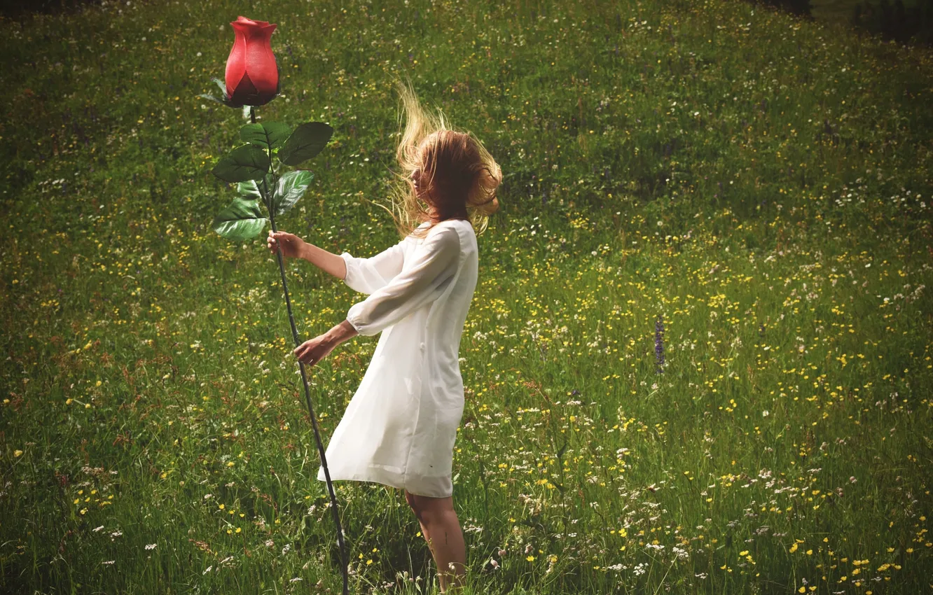 Photo wallpaper summer, girl, roses