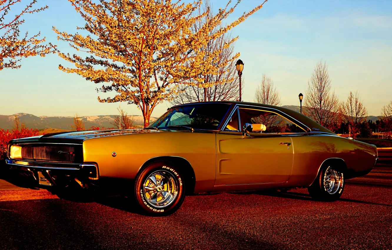 Photo wallpaper the sky, trees, Dodge, Dodge, Charger, the front, 1968, Muscle car