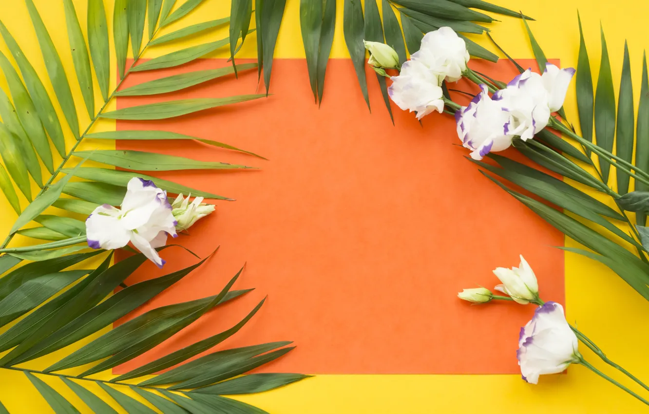 Photo wallpaper leaves, flowers, palm trees, eustoma