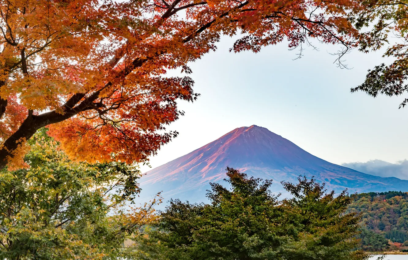 Photo wallpaper autumn, trees, mountain, the volcano