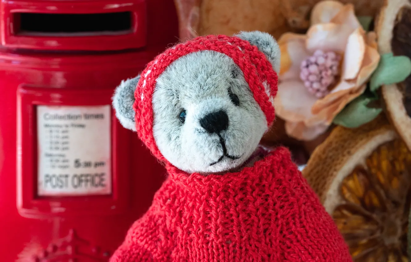 Photo wallpaper toy, bear, Teddy, sweater