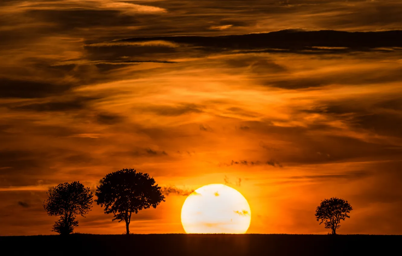 Photo wallpaper the sky, the sun, clouds, trees, sunset, silhouette
