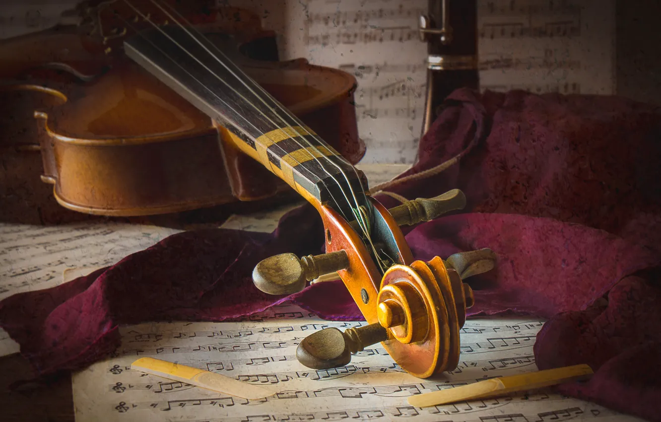 Photo wallpaper macro, notes, violin