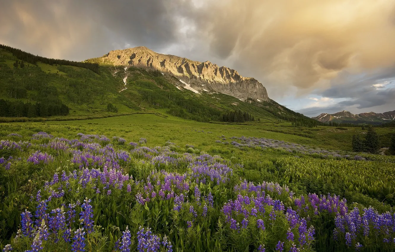 Photo wallpaper landscape, mountains, meadow