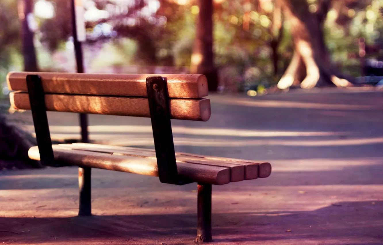 Photo wallpaper summer, trees, bench, nature, background, mood, stay, widescreen
