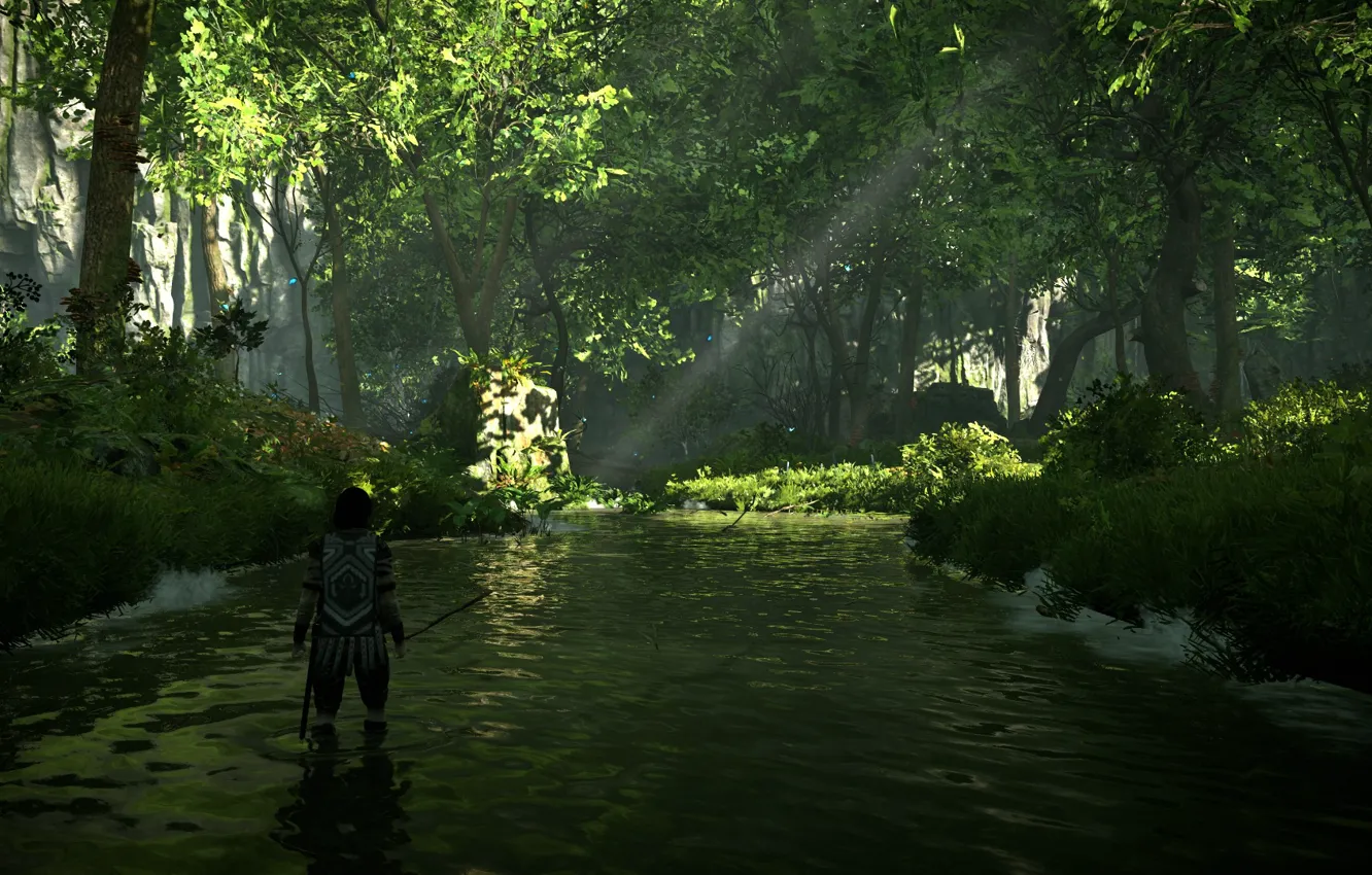 Photo wallpaper forest, trees, river, Shadow of the Colossus, In the shadow of the colossus