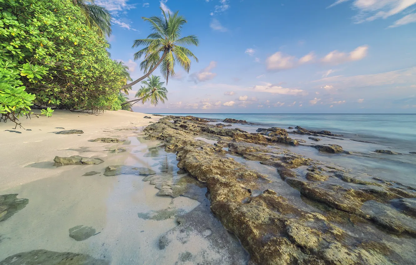 Photo wallpaper sea, beach, summer, the sky, palm trees, Stones, Tropics
