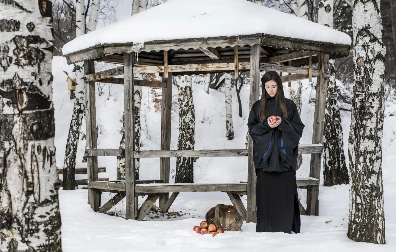Photo wallpaper winter, girl, apples