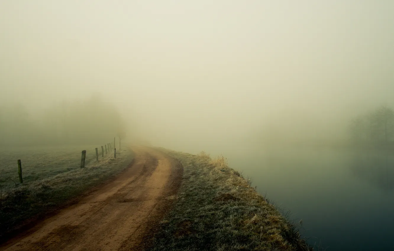 Photo wallpaper road, greens, grass, trees, landscape, nature, fog, background